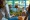 Adobe Stock 874273921